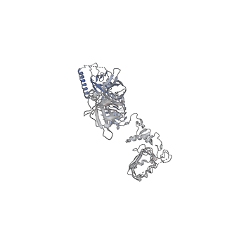 28723_8eyx_B_v1-1
Cryo-EM structure of 4 insulins bound full-length mouse IR mutant with physically decoupled alpha CTs (C684S/C685S/C687S; denoted as IR-3CS) Asymmetric conformation 1
