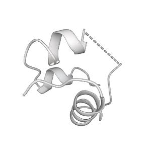 28723_8eyx_D_v1-1
Cryo-EM structure of 4 insulins bound full-length mouse IR mutant with physically decoupled alpha CTs (C684S/C685S/C687S; denoted as IR-3CS) Asymmetric conformation 1