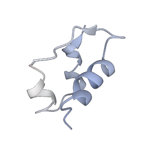 28723_8eyx_G_v1-1
Cryo-EM structure of 4 insulins bound full-length mouse IR mutant with physically decoupled alpha CTs (C684S/C685S/C687S; denoted as IR-3CS) Asymmetric conformation 1