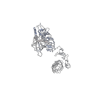 28724_8eyy_A_v1-1
Cryo-EM structure of 4 insulins bound full-length mouse IR mutant with physically decoupled alpha CTs (C684S/C685S/C687S, denoted as IR-3CS) Asymmetric conformation 2