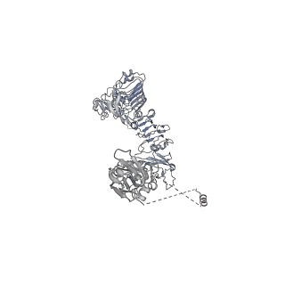 28724_8eyy_B_v1-1
Cryo-EM structure of 4 insulins bound full-length mouse IR mutant with physically decoupled alpha CTs (C684S/C685S/C687S, denoted as IR-3CS) Asymmetric conformation 2
