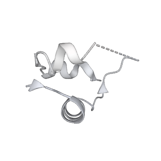 28724_8eyy_D_v1-1
Cryo-EM structure of 4 insulins bound full-length mouse IR mutant with physically decoupled alpha CTs (C684S/C685S/C687S, denoted as IR-3CS) Asymmetric conformation 2