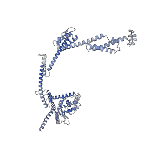 31317_7eyb_G_v1-0
core proteins