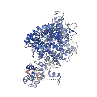 31317_7eyb_I_v1-0
core proteins