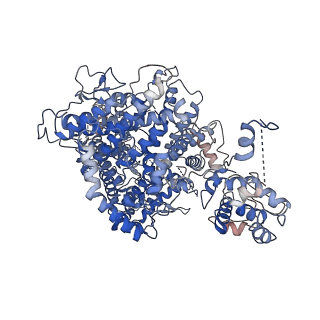 31317_7eyb_J_v1-0
core proteins