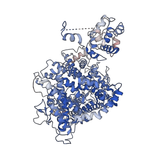 31317_7eyb_K_v1-0
core proteins