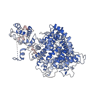 31317_7eyb_L_v1-0
core proteins