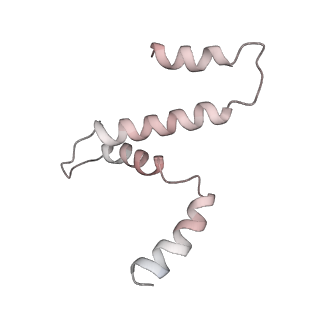 31317_7eyb_a_v1-0
core proteins