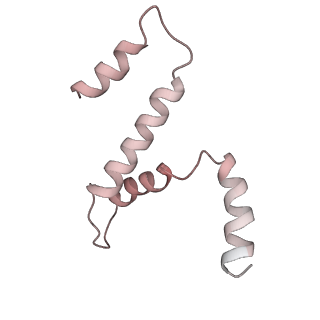 31317_7eyb_b_v1-0
core proteins