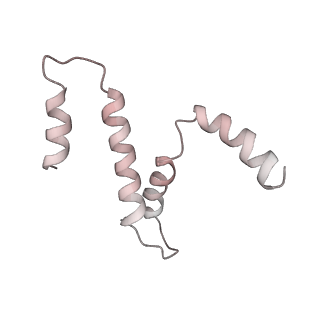 31317_7eyb_c_v1-0
core proteins