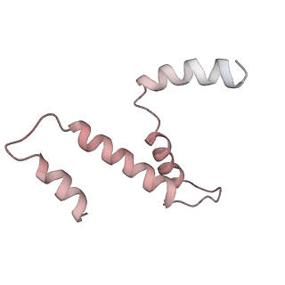 31317_7eyb_d_v1-0
core proteins