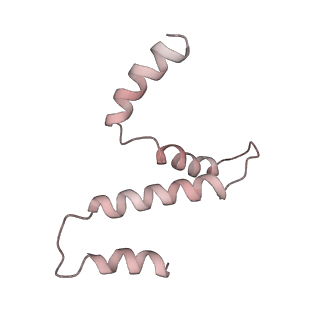 31317_7eyb_e_v1-0
core proteins