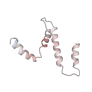31317_7eyb_g_v1-0
core proteins
