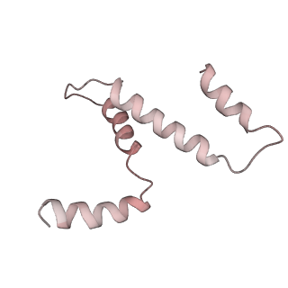 31317_7eyb_h_v1-0
core proteins