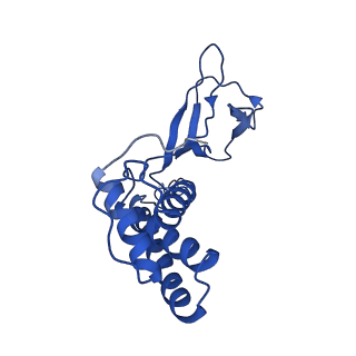 31319_7ey9_U_v1-0
tail proteins