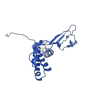31319_7ey9_V_v1-0
tail proteins