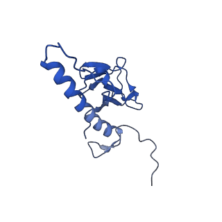 31319_7ey9_a_v1-0
tail proteins