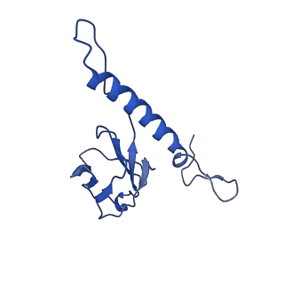 31319_7ey9_b_v1-0
tail proteins