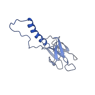 31319_7ey9_c_v1-0
tail proteins