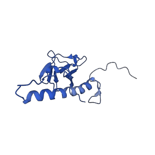 31319_7ey9_d_v1-0
tail proteins