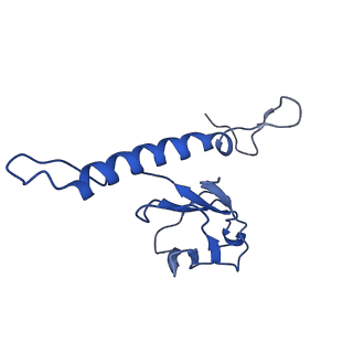 31319_7ey9_e_v1-0
tail proteins