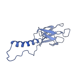 31319_7ey9_f_v1-0
tail proteins