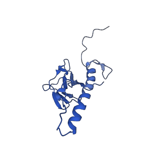 31319_7ey9_g_v1-0
tail proteins