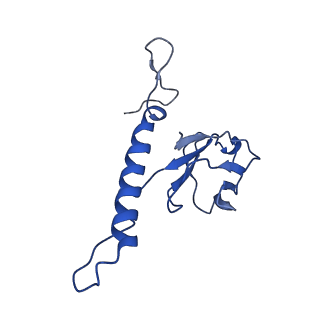 31319_7ey9_h_v1-0
tail proteins