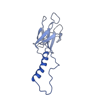 31319_7ey9_i_v1-0
tail proteins