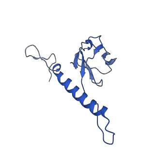 31319_7ey9_k_v1-0
tail proteins