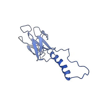 31319_7ey9_l_v1-0
tail proteins