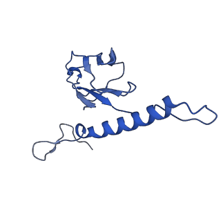 31319_7ey9_n_v1-0
tail proteins