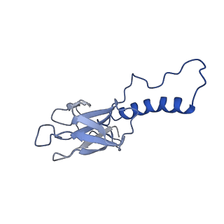 31319_7ey9_o_v1-0
tail proteins