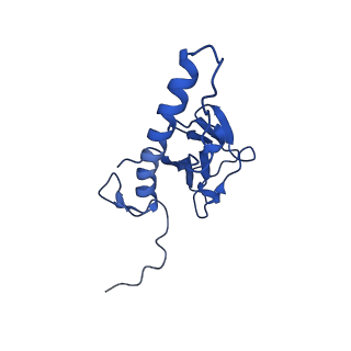 31319_7ey9_p_v1-0
tail proteins