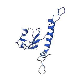 31319_7ey9_q_v1-0
tail proteins