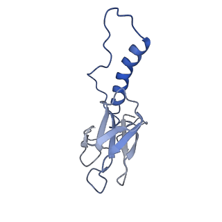 31319_7ey9_r_v1-0
tail proteins
