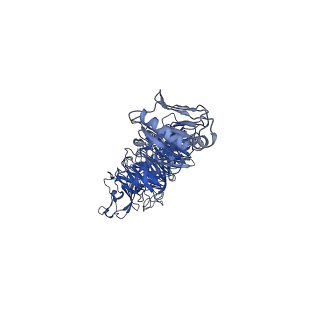 31319_7ey9_s_v1-0
tail proteins