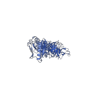 31319_7ey9_w_v1-0
tail proteins