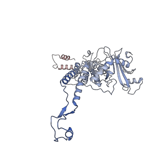 31321_7ey6_A_v1-0
The portal protein (GP8) of bacteriophage T7