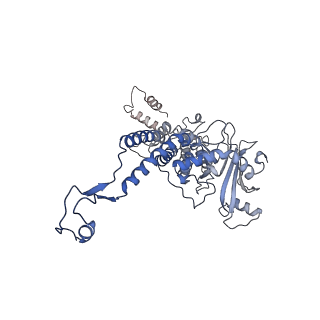 31321_7ey6_B_v1-0
The portal protein (GP8) of bacteriophage T7