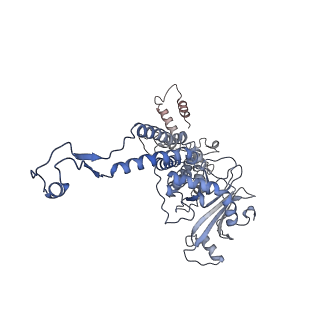 31321_7ey6_C_v1-0
The portal protein (GP8) of bacteriophage T7