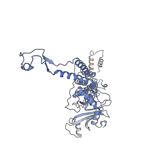 31321_7ey6_D_v1-0
The portal protein (GP8) of bacteriophage T7