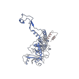 31321_7ey6_E_v1-0
The portal protein (GP8) of bacteriophage T7