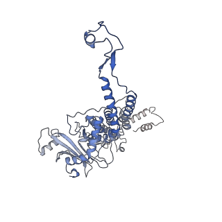 31321_7ey6_F_v1-0
The portal protein (GP8) of bacteriophage T7