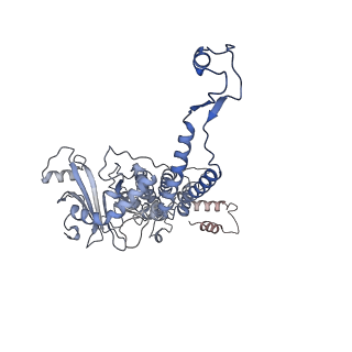 31321_7ey6_G_v1-0
The portal protein (GP8) of bacteriophage T7