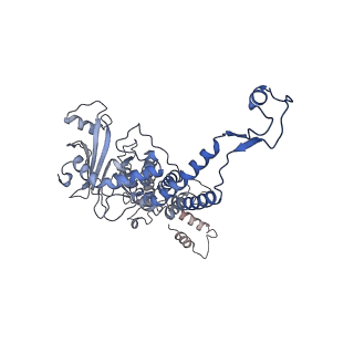 31321_7ey6_H_v1-0
The portal protein (GP8) of bacteriophage T7
