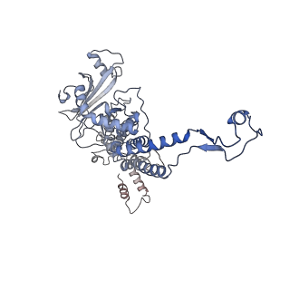 31321_7ey6_I_v1-0
The portal protein (GP8) of bacteriophage T7