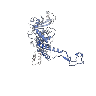 31321_7ey6_J_v1-0
The portal protein (GP8) of bacteriophage T7