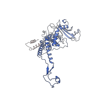 31321_7ey6_L_v1-0
The portal protein (GP8) of bacteriophage T7