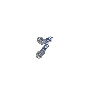 31321_7ey7_A_v1-0
bacteriophage T7 tail complex